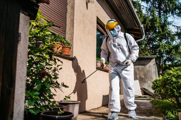 Best Cockroach Control Services  in Frankston, TX