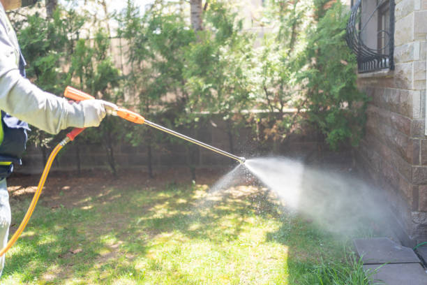 Best Affordable Pest Control Services  in Frankston, TX