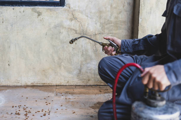 Reliable Frankston, TX Pest Control Solutions
