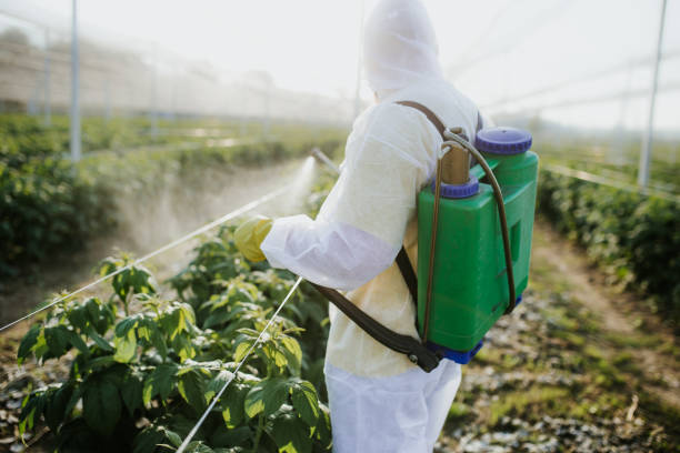 Best Insect Control  in Frankston, TX